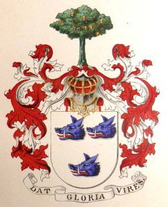 Lees meer over het artikel 1900 Ho(o)g in de nok