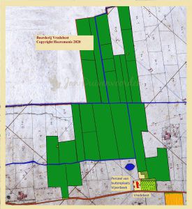 Lees meer over het artikel Vredebest