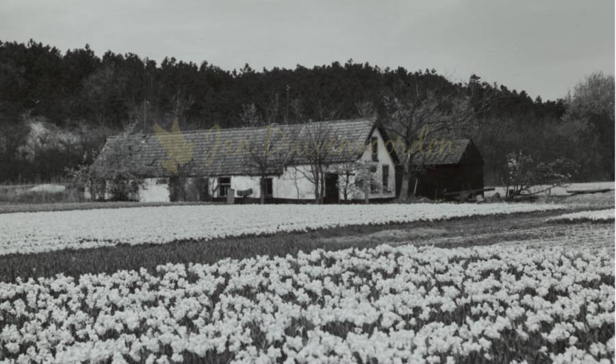 Je bekijkt nu De boerderij van Geertje