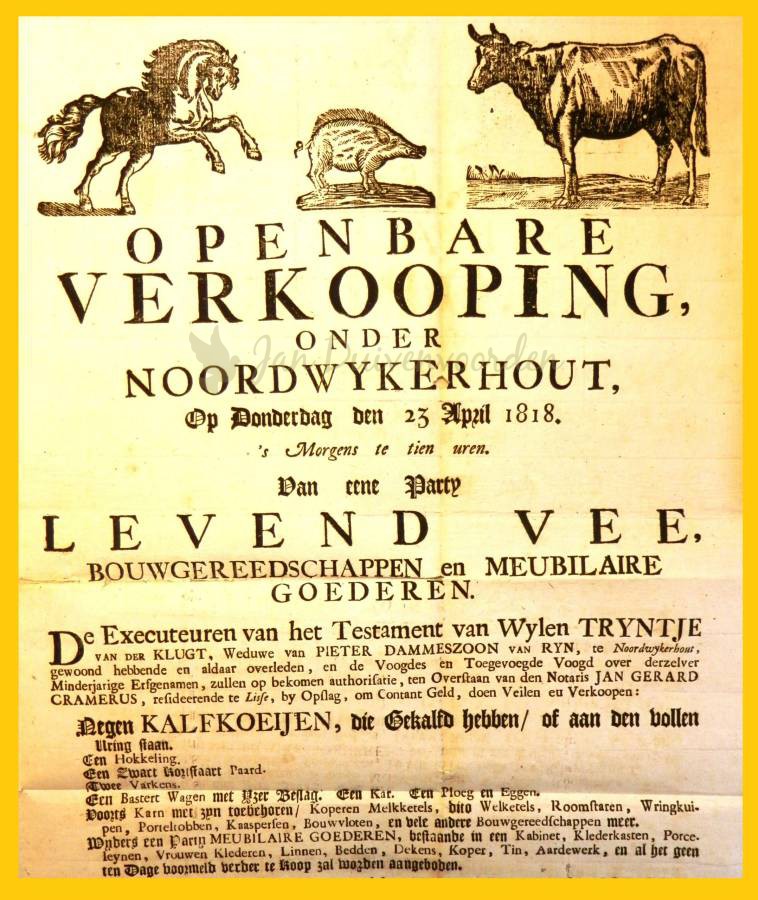 Je bekijkt nu 500 jaar Puikendam