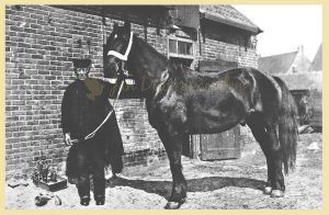 Lees meer over het artikel Jan Duivenvoorden “Heeremenis” 1869-1956