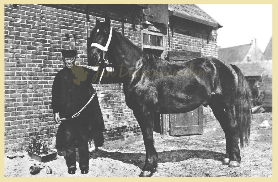 Je bekijkt nu Jan Duivenvoorden “Heeremenis” 1869-1956