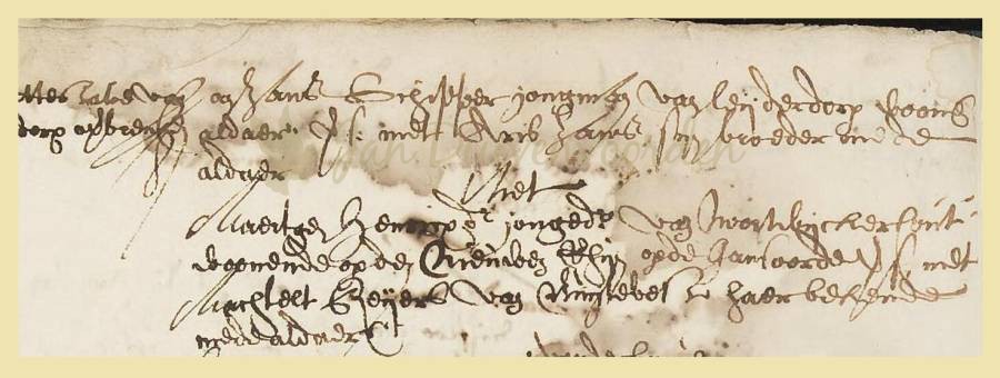 Je bekijkt nu Een stamboom in duinzand, de zoektocht naar stamvader Jan