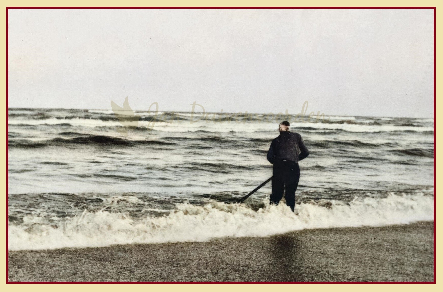 Je bekijkt nu Een stamboom in duinzand, introductie