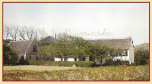 Lees meer over het artikel De Witte Raaf