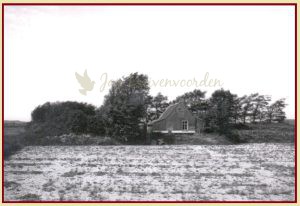 Lees meer over het artikel Het Duinhuis op het Lappennest