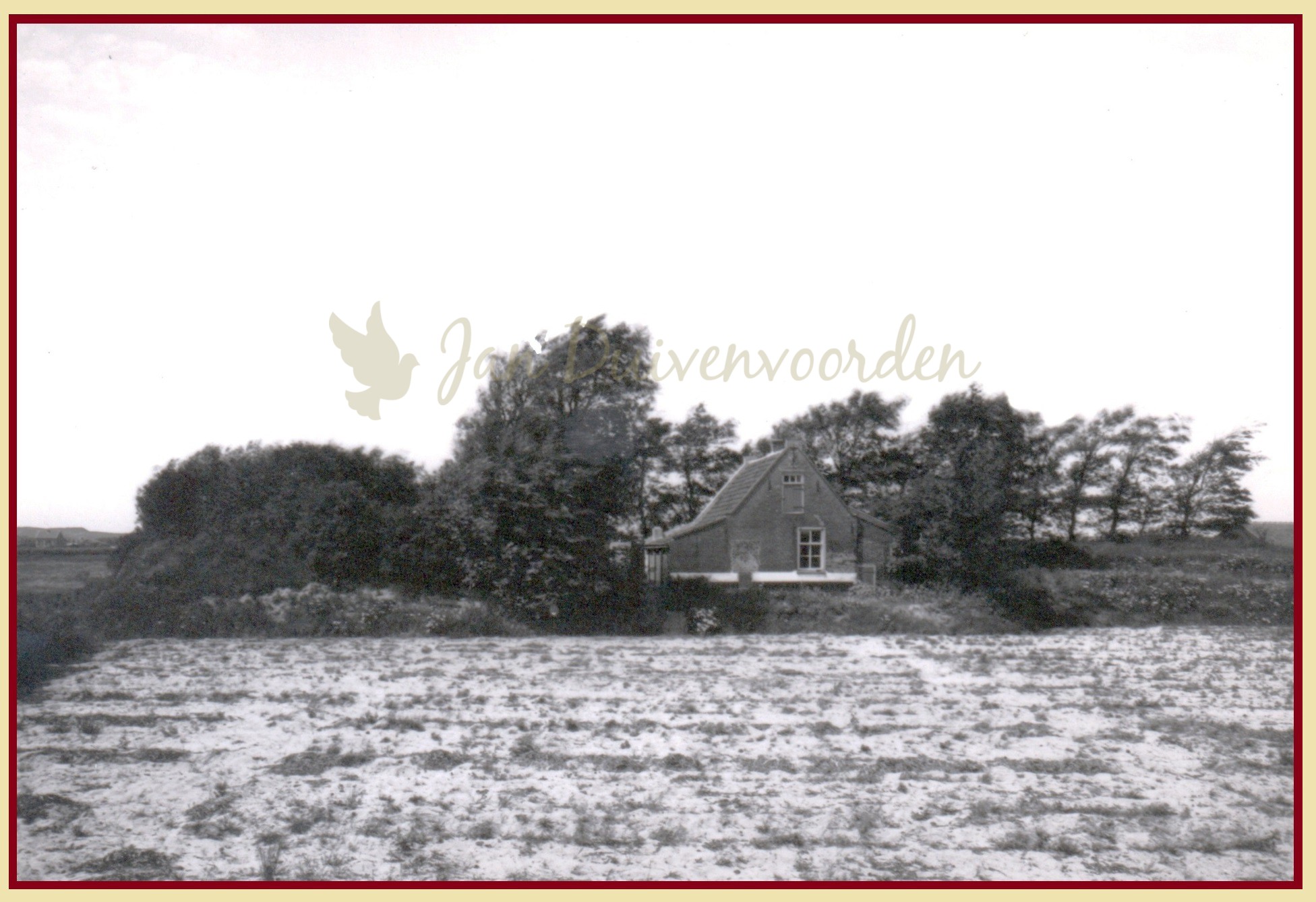 Je bekijkt nu Het Duinhuis op het Lappennest