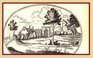 Lees meer over het artikel Kasteel de Boekhorst 8, de laatste sporen