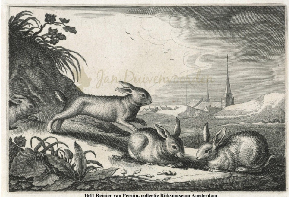 Je bekijkt nu De VVSB-Kerstveiling