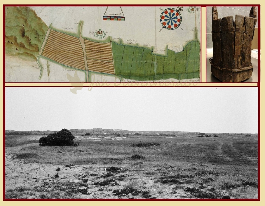 Je bekijkt nu Hoe schoon waren de duinen 6. Duinschoten: bossen, koren en konijnen