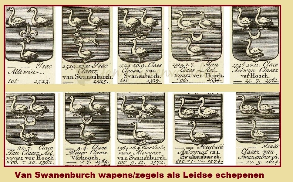 Je bekijkt nu Nog oudere stamvaders Heemskerk, een vervolgonderzoek.